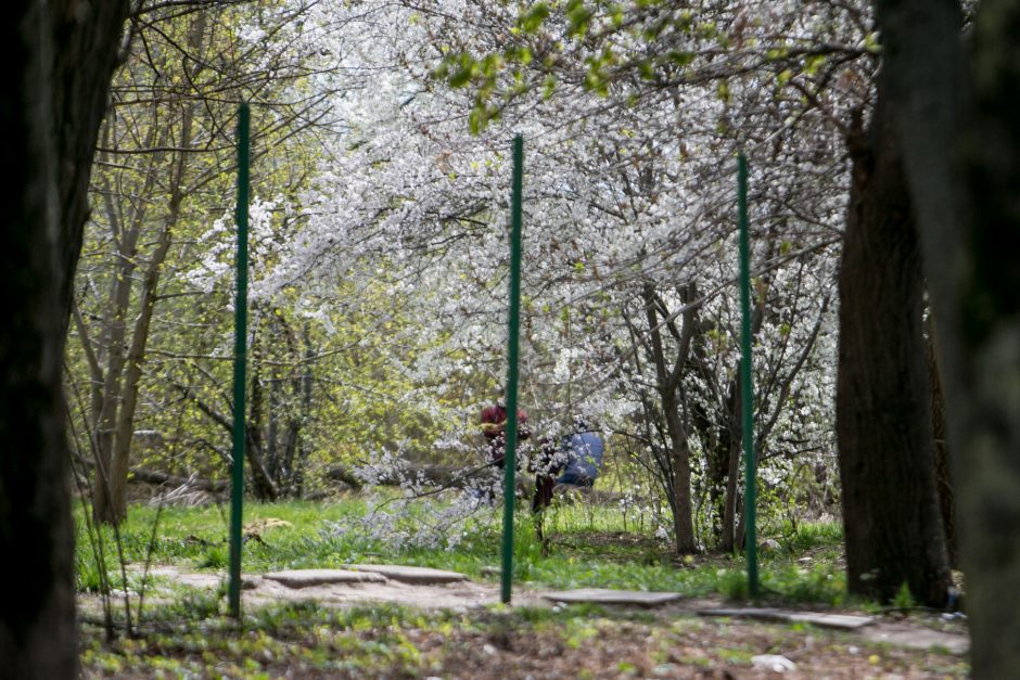 Gyventoja: prieš mūsų langus girtuokliauja, mušasi, šiukšlina, čia pat ir tuštinasi