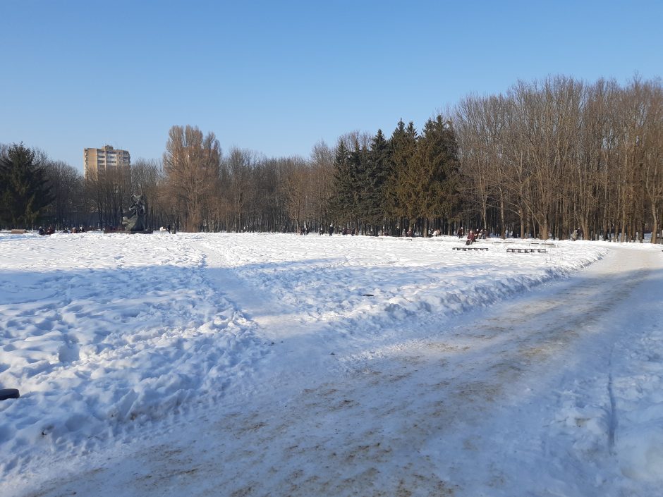 Saulėtos dienos išginė kauniečius į parkus (fotoreportažas)