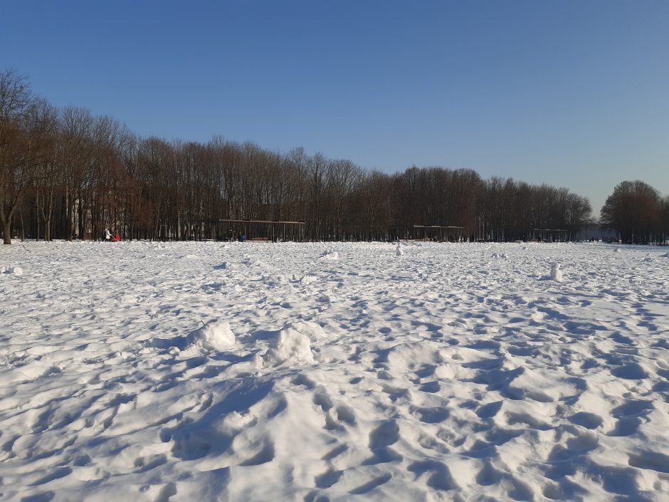 Saulėtos dienos išginė kauniečius į parkus (fotoreportažas)