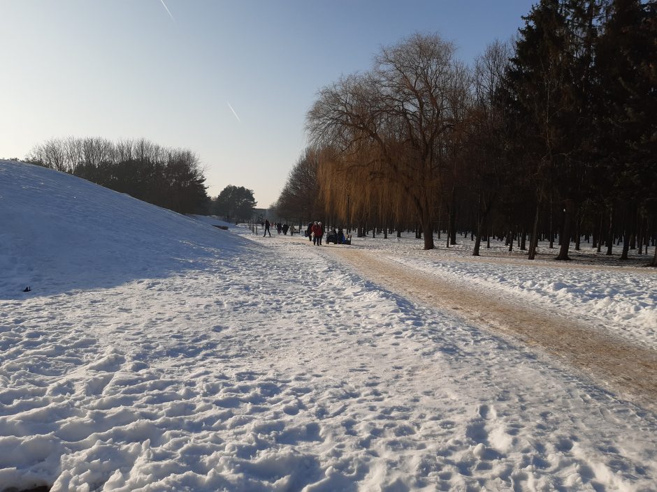 Saulėtos dienos išginė kauniečius į parkus (fotoreportažas)