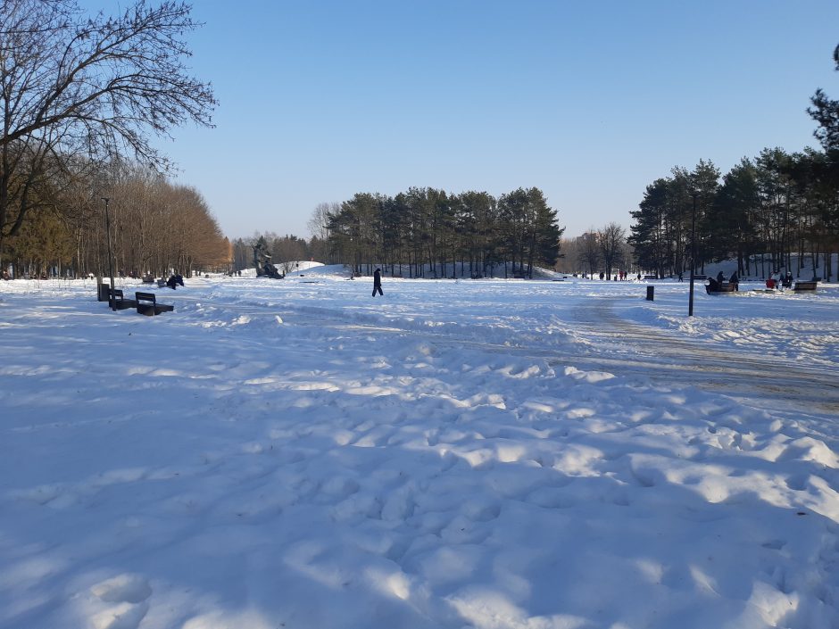 Saulėtos dienos išginė kauniečius į parkus (fotoreportažas)