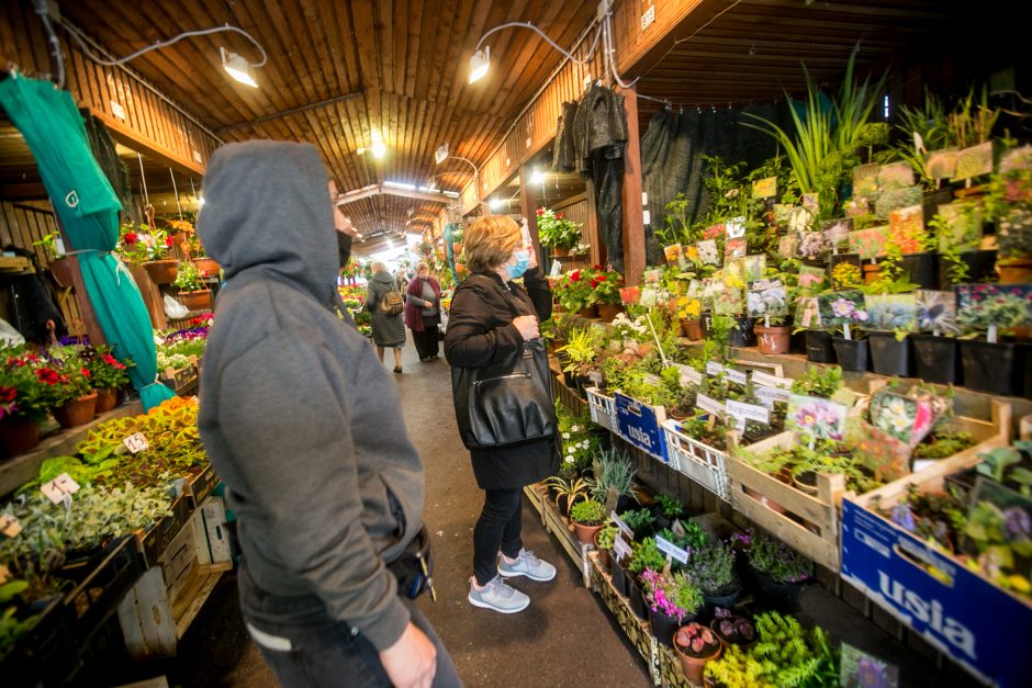 Daigų prekeivis – neviltyje: turgus veikia, bet po žinios apie jo remontą nebeliko pirkėjų