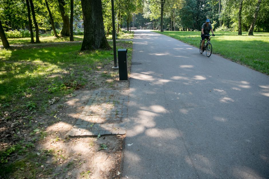 Vaivorykštinio suolo detektyvas Kaune: pasisakė miesto atstovai ir policija