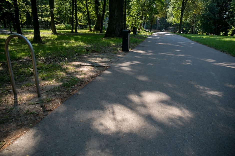 Vaivorykštinio suolo detektyvas Kaune: pasisakė miesto atstovai ir policija