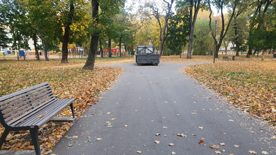 Kauniečių smalsumą sužadino Ramybės parke atsiradęs konteineris