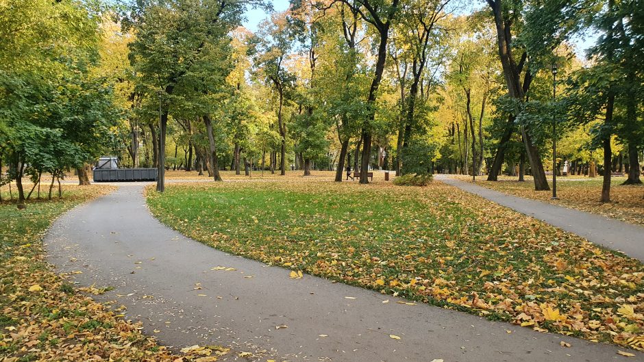 Kauniečių smalsumą sužadino Ramybės parke atsiradęs konteineris