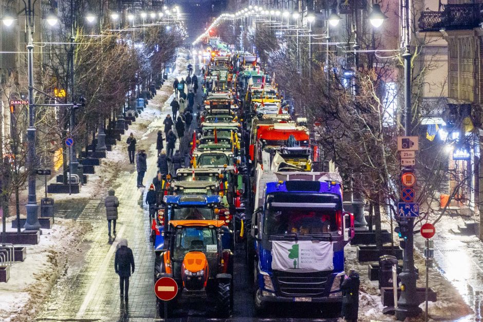 V. Čmilytė-Nielsen: Seimas sesiją turėtų pradėti nuo žemdirbių reikalavimų