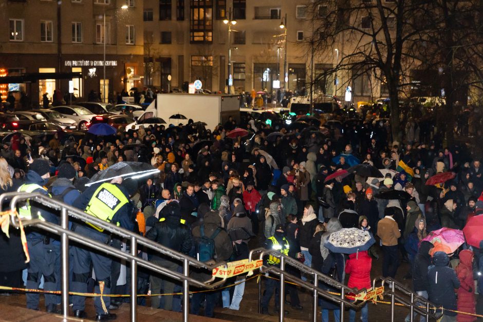 „Dešimt tylos minučių“ organizatoriai ketina rengti naują mitingą: neišgirdot pirmosios žinutės