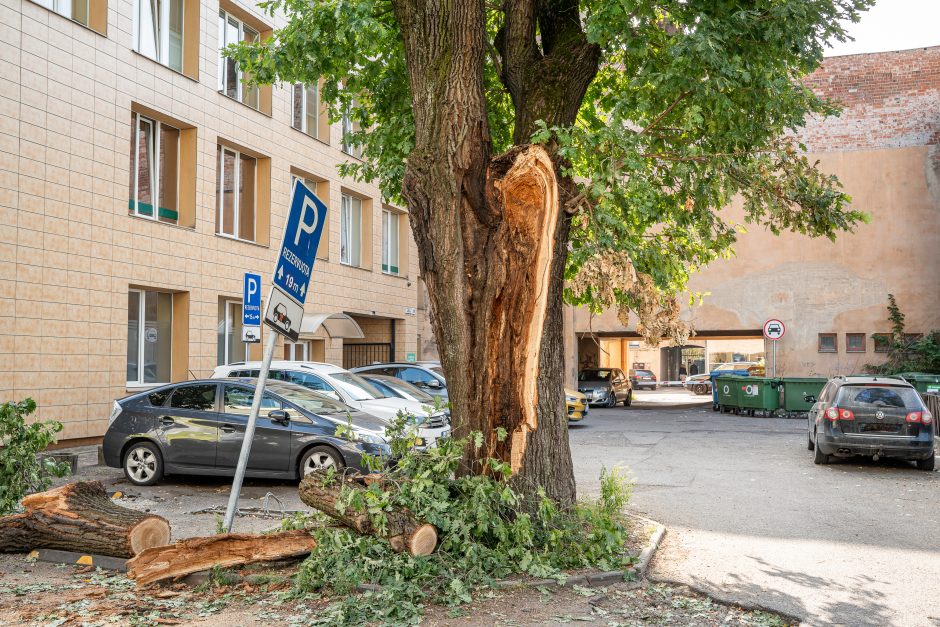 Virtęs medis pridarė daug žalos ir įsiutino gyventojus: ne pirmas kartas