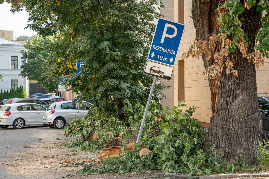 Virtęs medis pridarė daug žalos ir įsiutino gyventojus: ne pirmas kartas