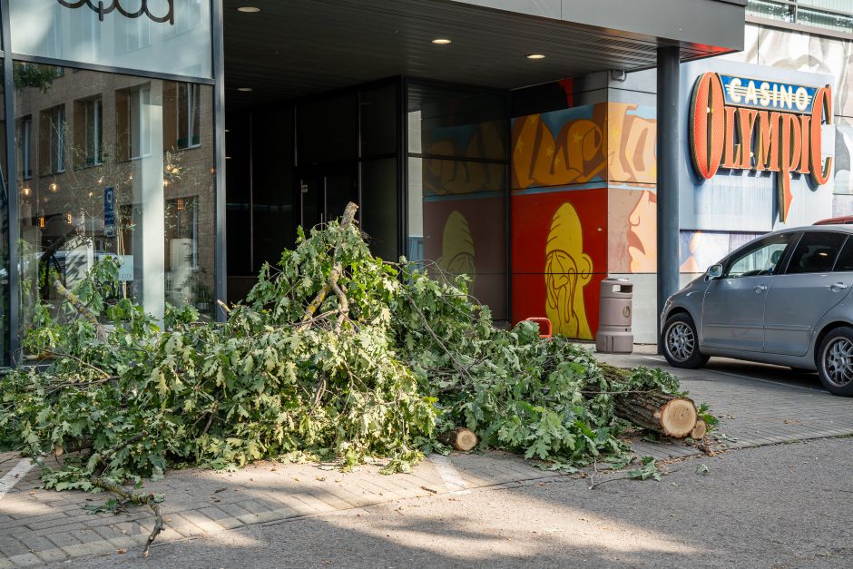 Virtęs medis pridarė daug žalos ir įsiutino gyventojus: ne pirmas kartas