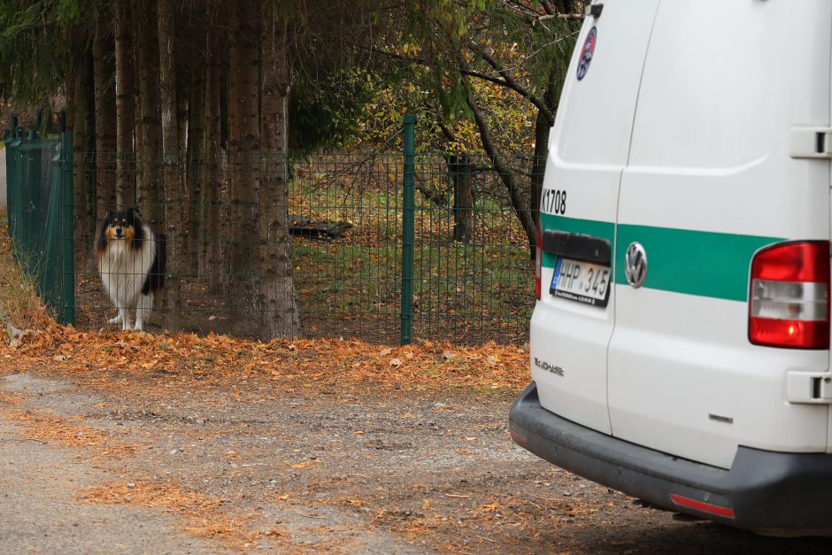 Sumaištis Amaliuose: pareigūnams iš panosės pabėgo nauju nusikaltimu įtariamas kalinys