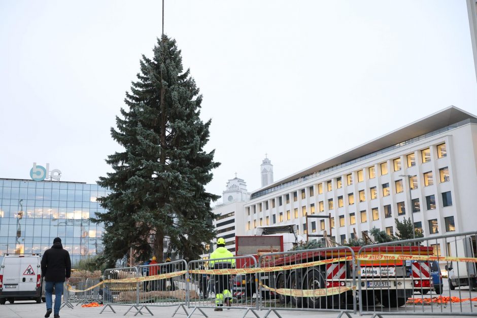 Kauno kalėdinė eglutė – jau Vienybės aikštėje