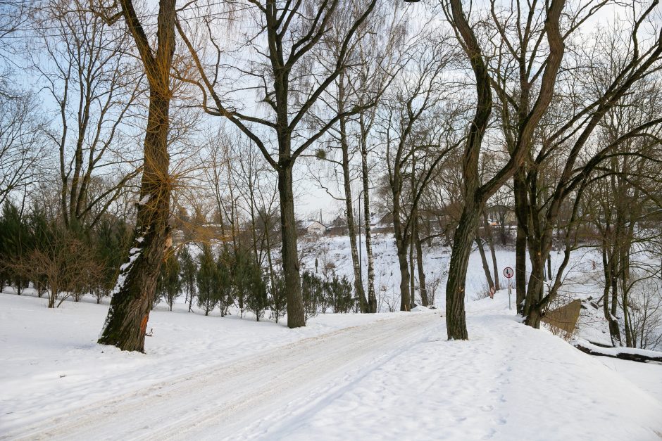 Nuspręsta: Kaunas perima Linkuvos dvarą