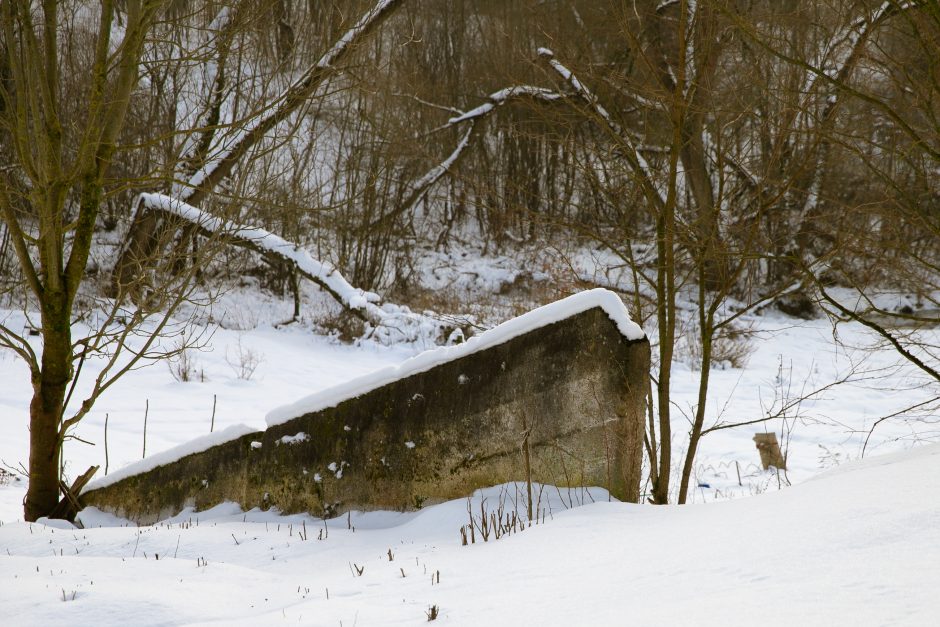 Nuspręsta: Kaunas perima Linkuvos dvarą