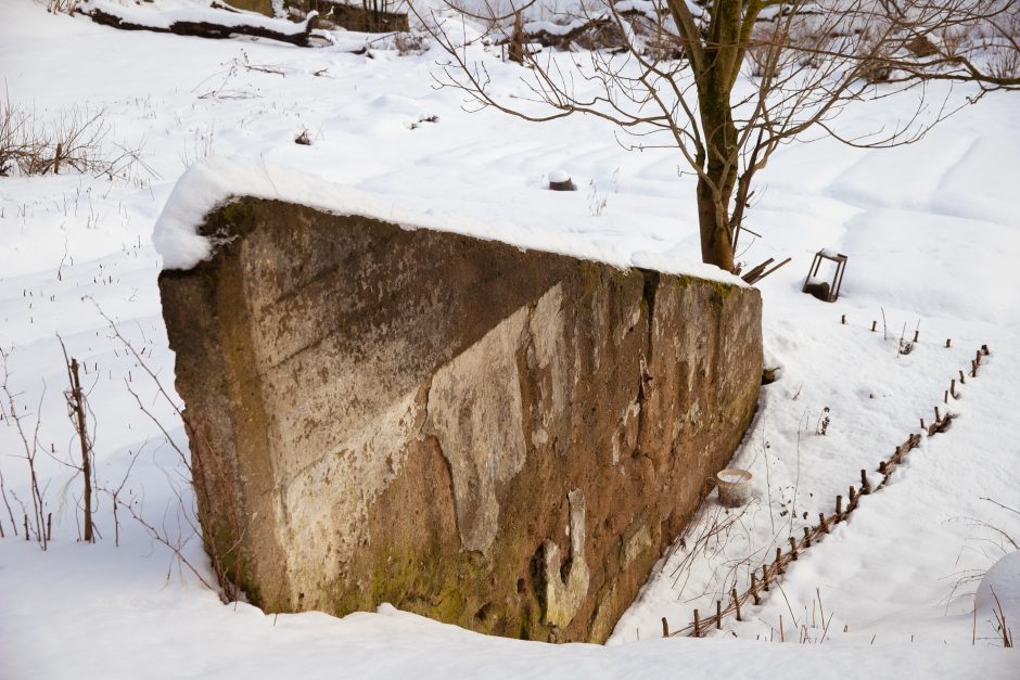 Nuspręsta: Kaunas perima Linkuvos dvarą