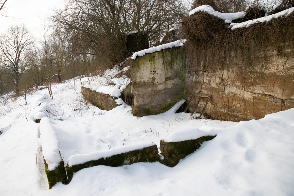 Nuspręsta: Kaunas perima Linkuvos dvarą