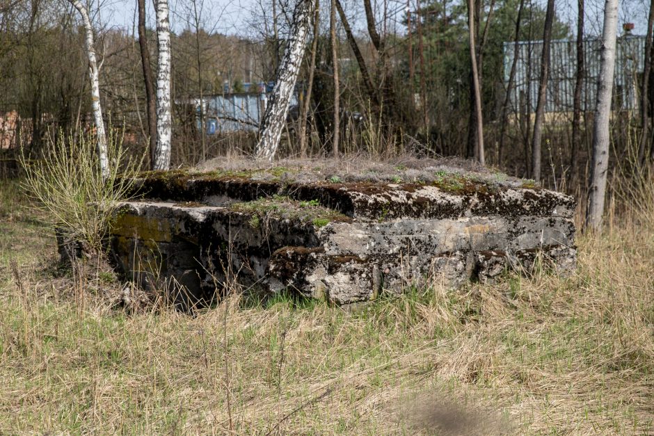 Kaune įžūliai nugriautos Pirmąjį pasaulinį karą menančios vertybės: teks atstatyti?