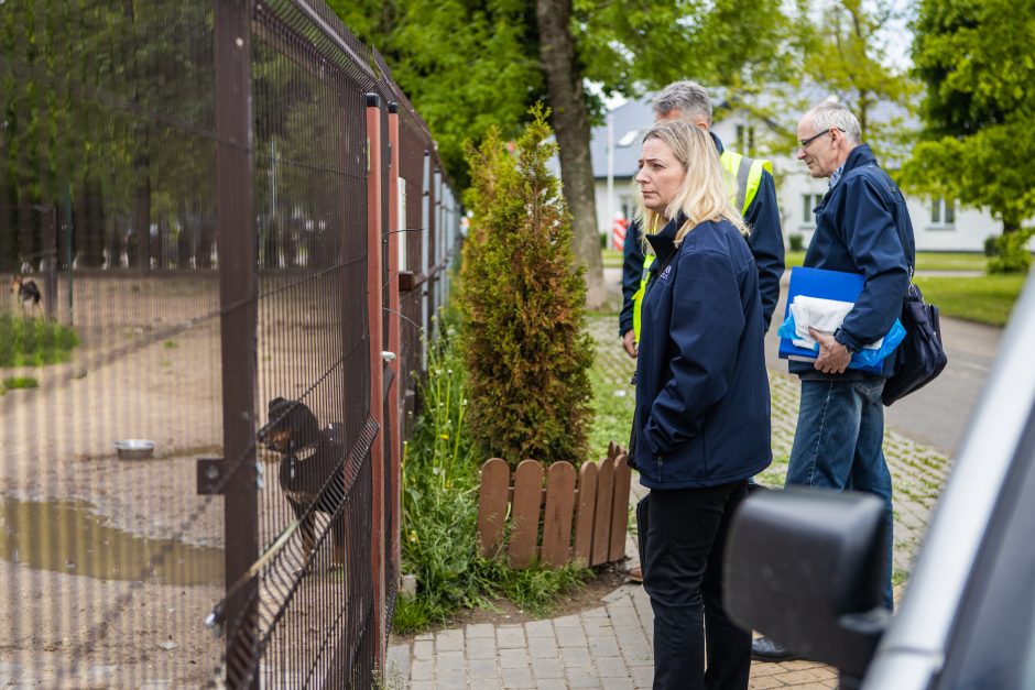 Intrigomis ir ambicijomis apraizgyta šuns istorija