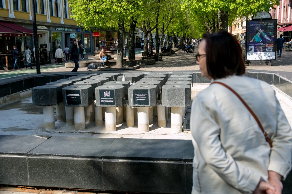 Fontanai pradeda sezoną: neveiks tik vienas