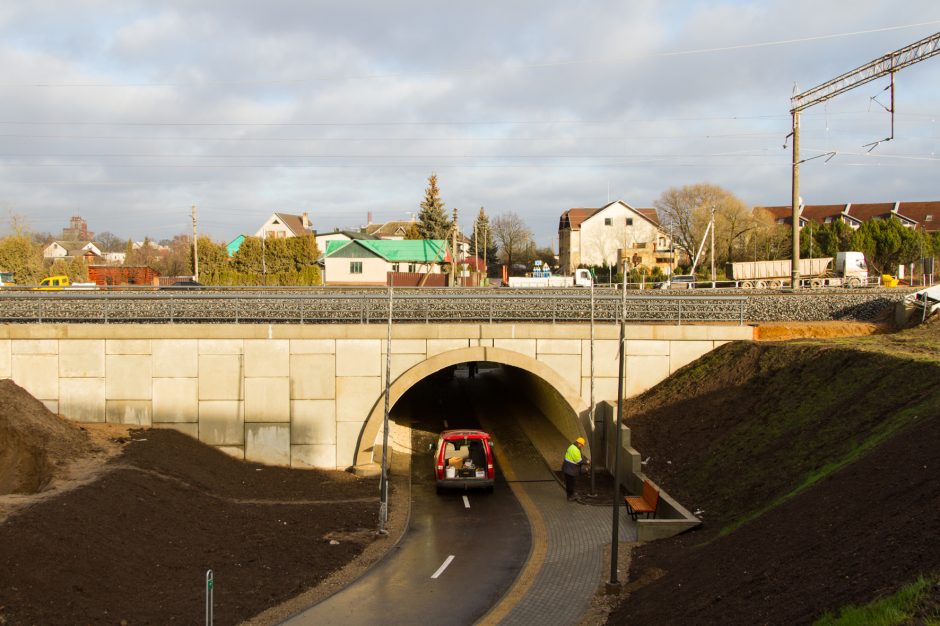 Palemono galvos skausmas – „Rail Baltica“