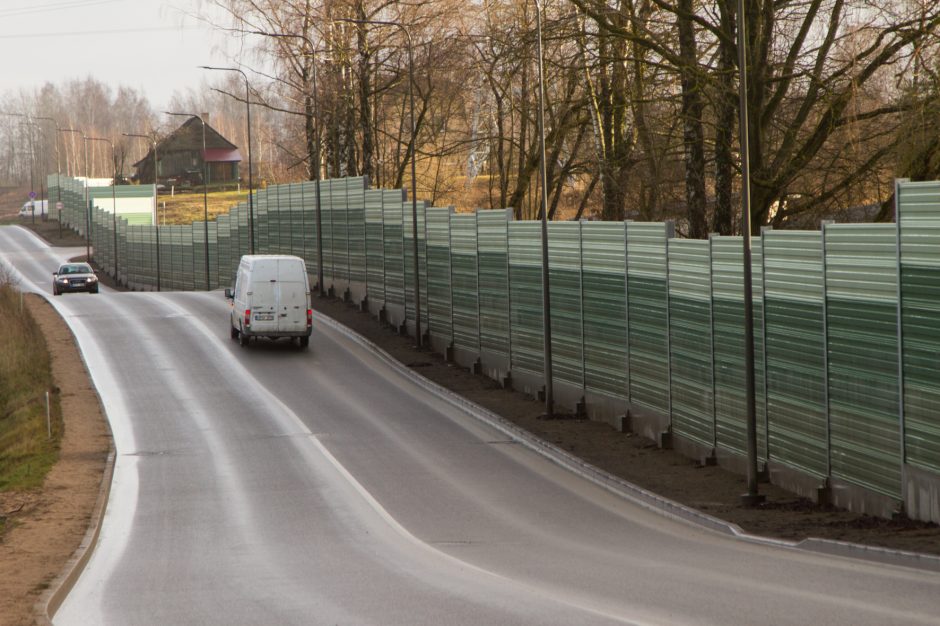 Palemono galvos skausmas – „Rail Baltica“