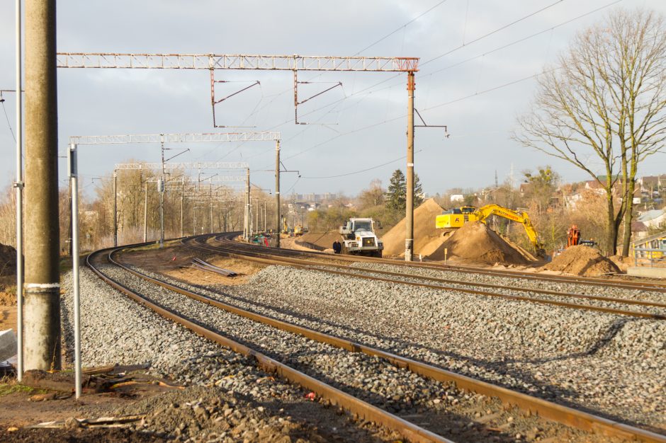 Palemono galvos skausmas – „Rail Baltica“