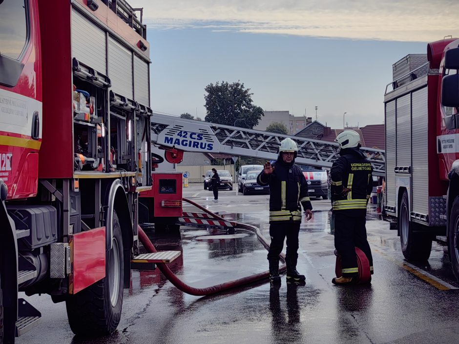 Gaisrų tyrėjai įvardijo ugnies siautėjimo „Maximos“ malūne priežastį: į kriminalą nepanašu