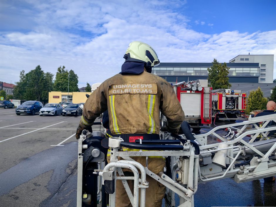 Gaisrų tyrėjai įvardijo ugnies siautėjimo „Maximos“ malūne priežastį: į kriminalą nepanašu