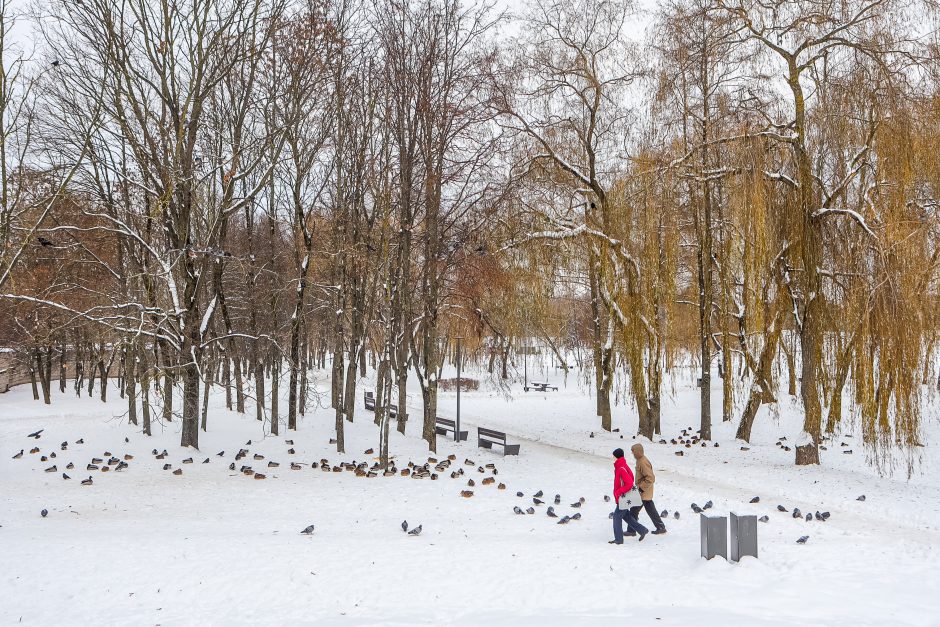 Kaunietė: gal dar yra vilties pakilti iš dugno?