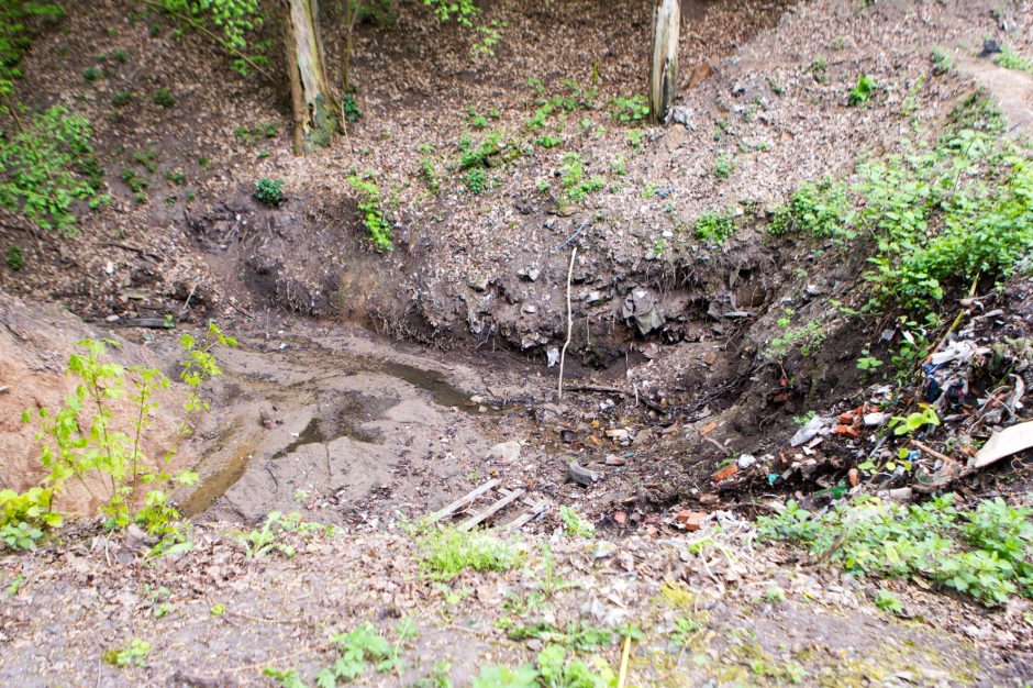 Unikalią erdvę užliejo vanduo: per purvą ir varles nesimato autentiško grindinio