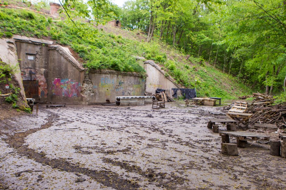 Unikalią erdvę užliejo vanduo: per purvą ir varles nesimato autentiško grindinio