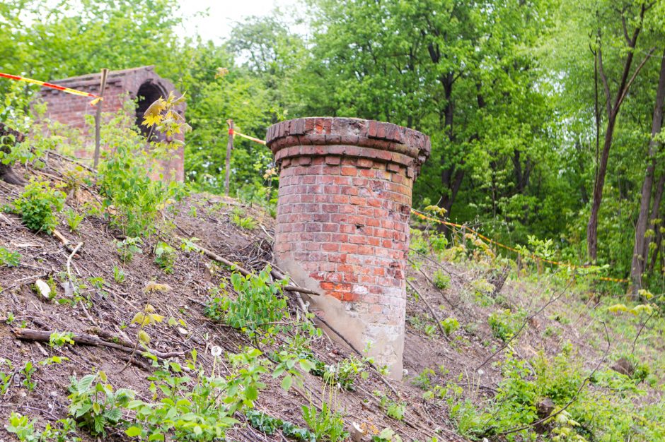 Unikalią erdvę užliejo vanduo: per purvą ir varles nesimato autentiško grindinio