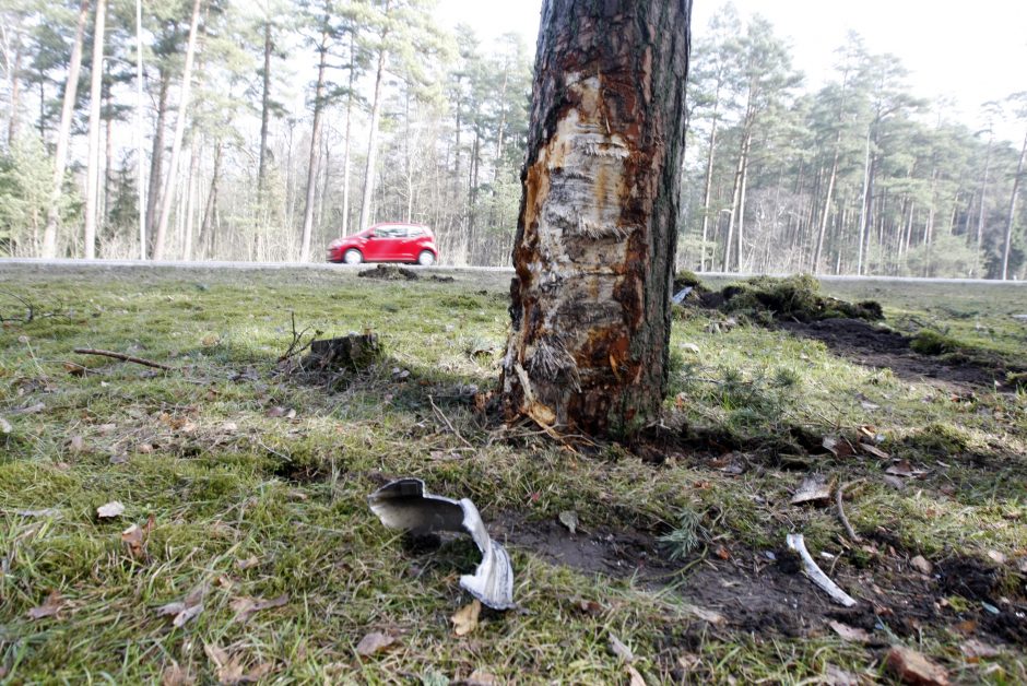 Tragedija Klaipėdoje: P. Lideikio g. žuvo jaunas vairuotojas