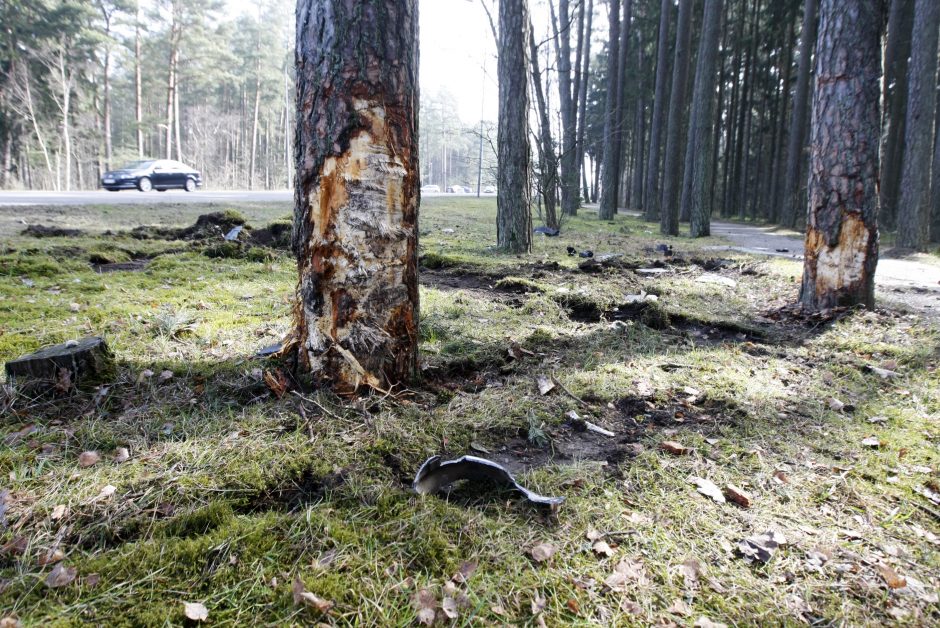 Tragedija Klaipėdoje: P. Lideikio g. žuvo jaunas vairuotojas