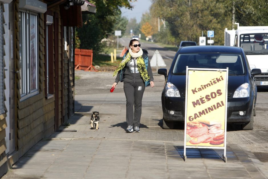 Gyventojai pasipiktinę: sodams gresia likvidacija?