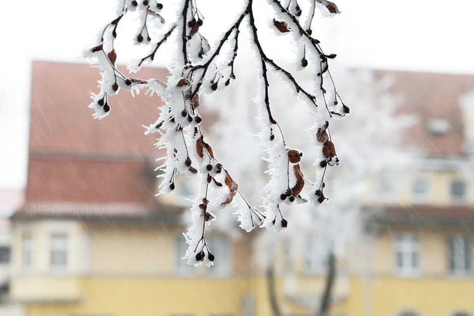 Pajūrio laukia žvarbūs orai