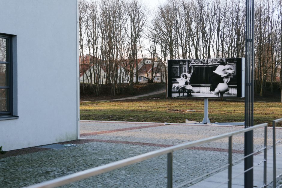 Sprendė, kur dėti ekraną už 49 tūkst. eurų