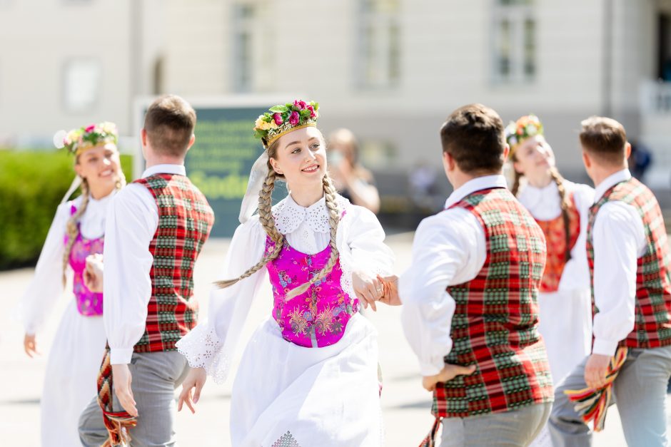 Vilniuje atidaryta dainų šventei skirta instaliacija „Sodai“