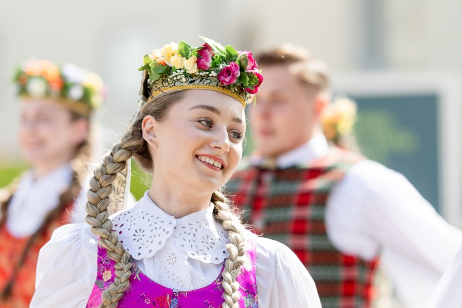 Vilniuje atidaryta dainų šventei skirta instaliacija „Sodai“