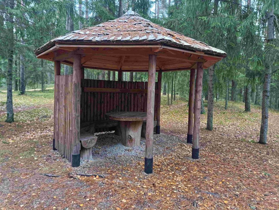 Iškeisk miestą į mišką: Aukštaitijos girių didybė