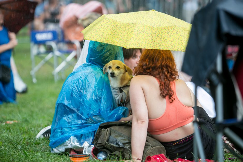 Praūžė „Akacijų alėjos“ festivalis: muzikos mylėtojų neišgąsdino net didžiulė liūtis