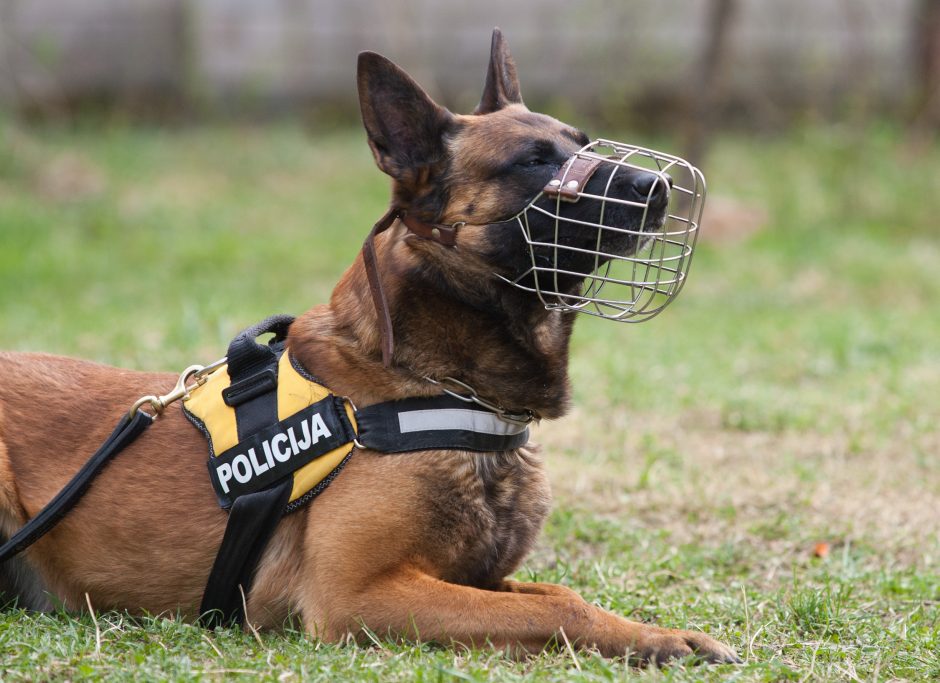 Klaipėdoje policijos tarnybinis šuo aptiko maišelį su narkotikais