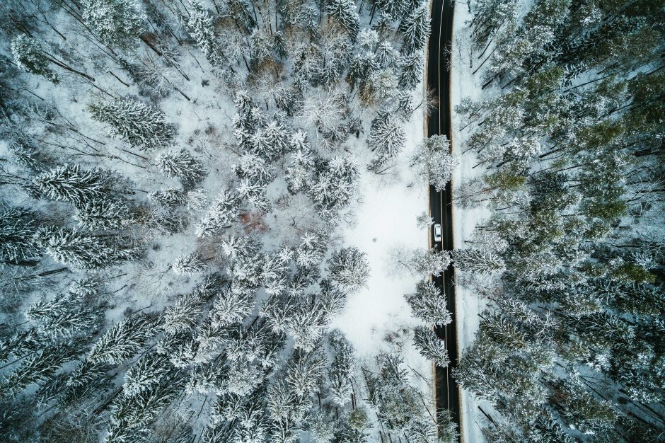 Ekspertai: šių metų žiema palanki miškams, sodams, žemės ūkiui