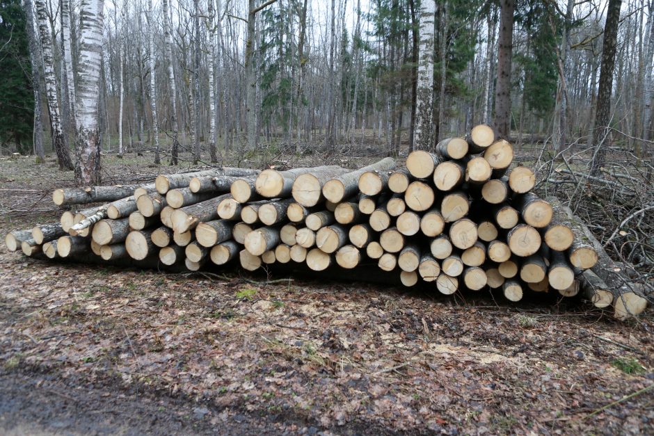 Gyventojai apie medienos kainas: pernai mašina malkų nekainavo 300 eurų, šiemet reikia 600