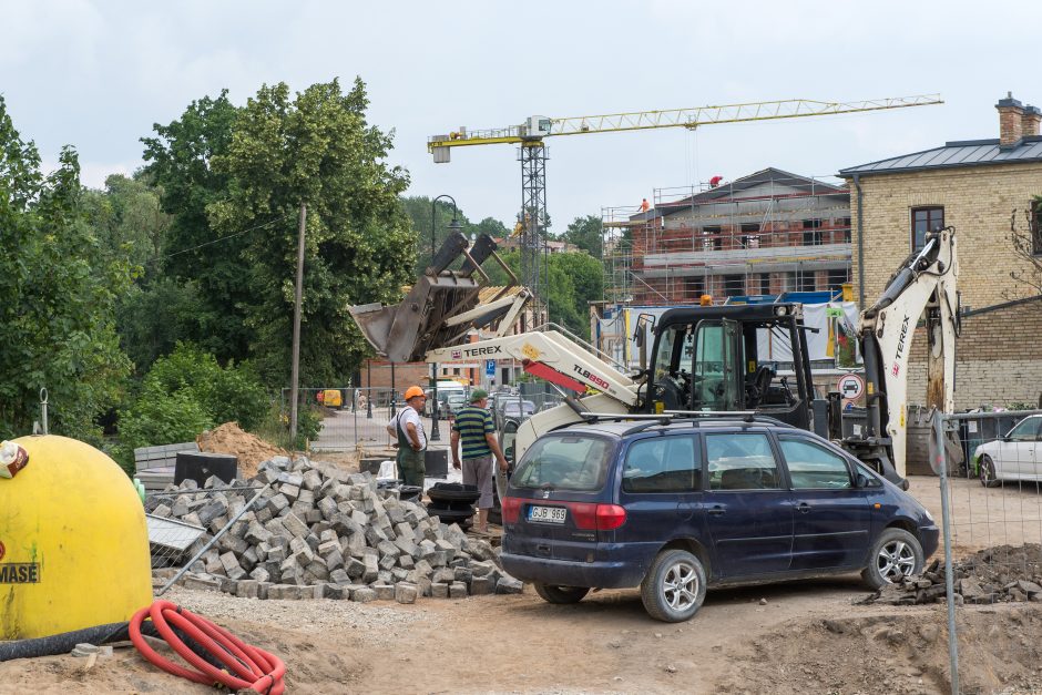 Ar atlaikys Vilnelė statybų invaziją?