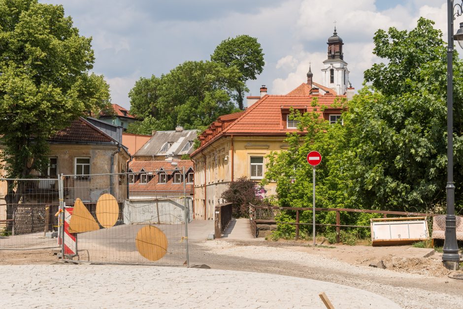 Ar atlaikys Vilnelė statybų invaziją?