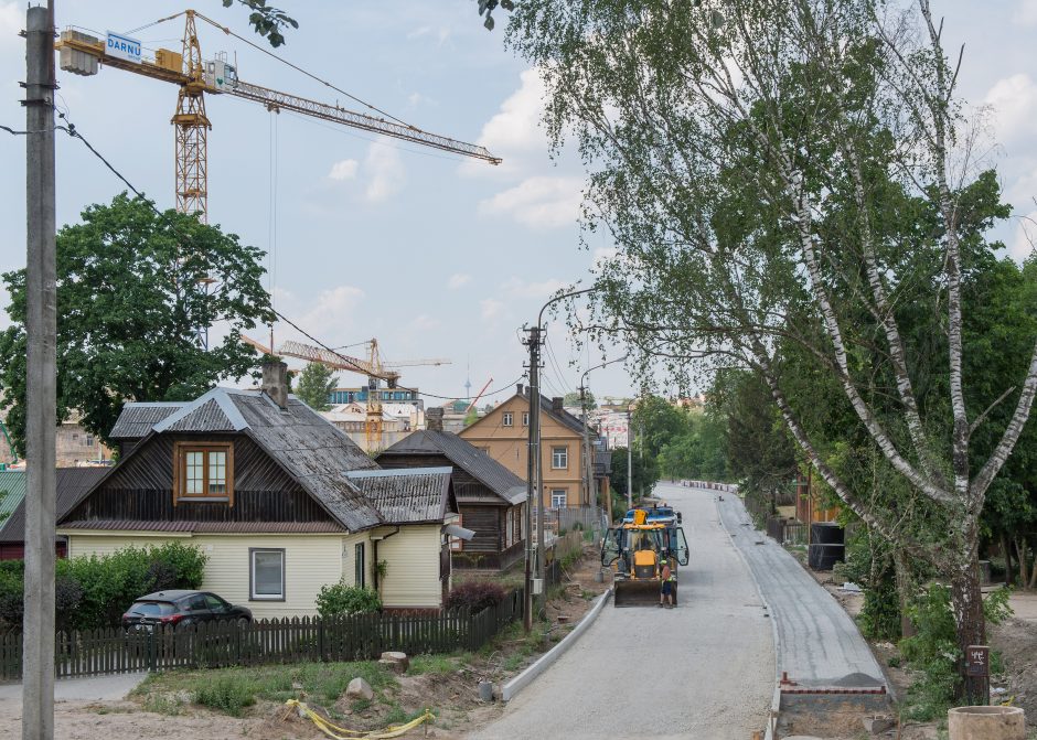 Ar atlaikys Vilnelė statybų invaziją?