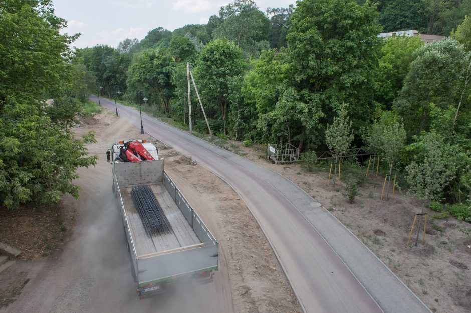 Ar atlaikys Vilnelė statybų invaziją?