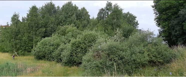 Viršuliškėse planuojama nauja viešoji erdvė